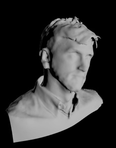 The head scan